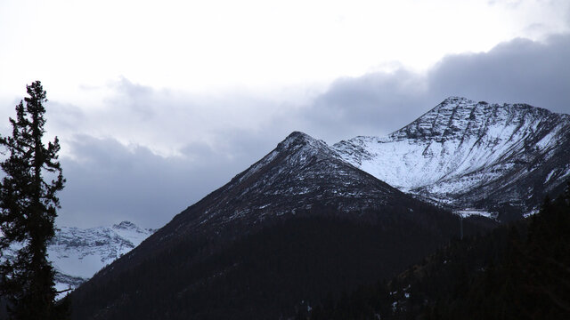 冷风景