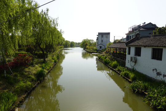 江南农村风光平湖野马村