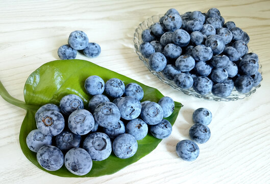 蓝莓熟了