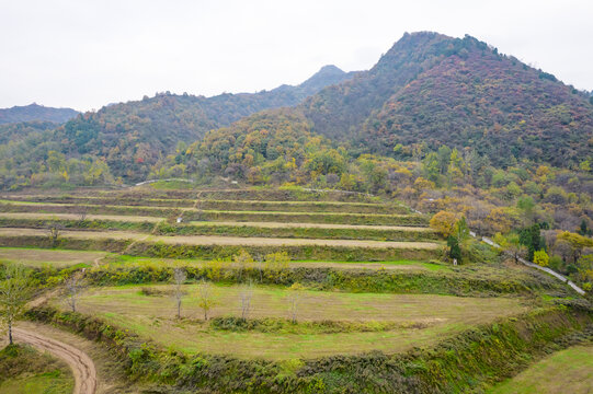 秦岭山