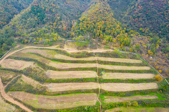 秦岭山下