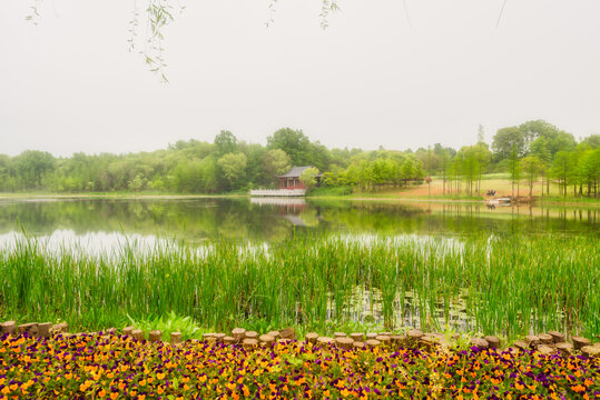 南京中山植物园风景