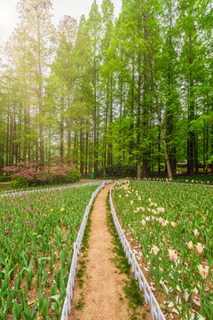 南京中山植物园风景