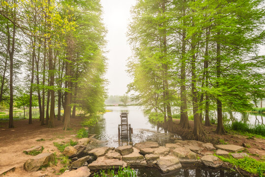 南京中山植物园风景