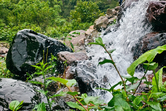 龙源山间溪流