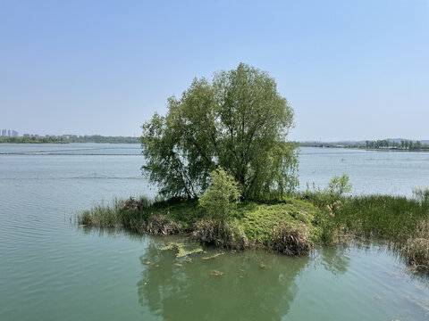 东湖风景区湖景