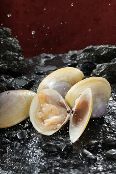 漳港海蚌