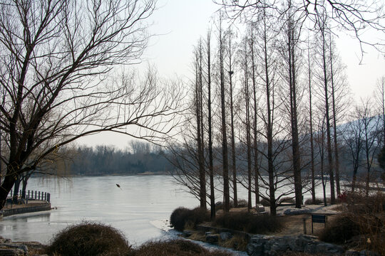 冬季湖景