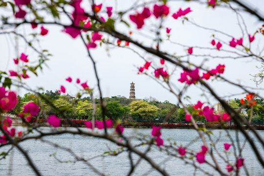 惠州西湖AAAAA级风景区