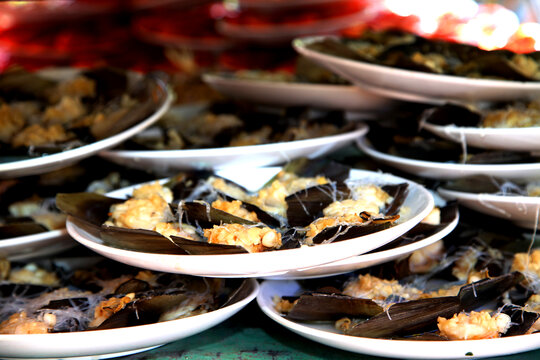 海鲜海蚌