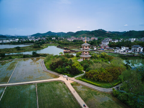 五彩田园连理塔