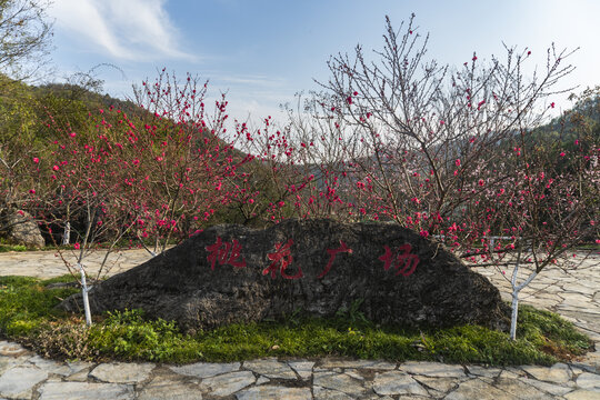 桃花广场