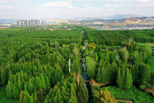 捞鱼河湿地公园