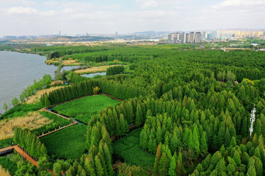 捞鱼河湿地公园