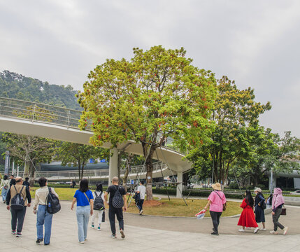 厦门山海健康步道与广场树木