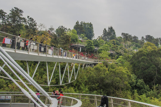 厦门山体空中山海健康步道