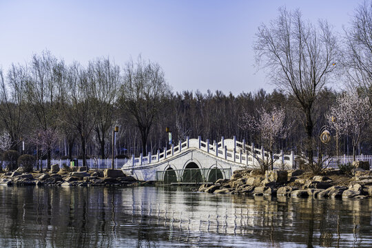 初春的中国长春南湖公园景观
