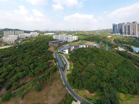 南方科技大学人文社会科学学院