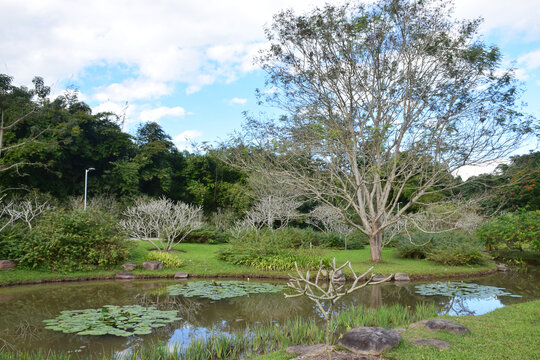 中科院西双版纳热带植物园