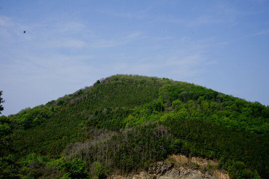 山