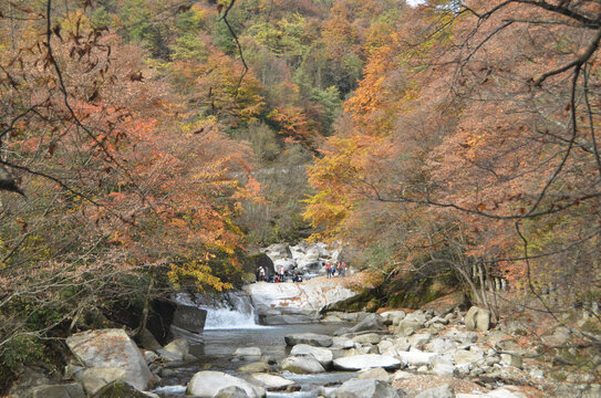 光雾山