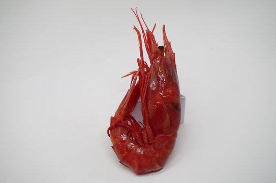 莫桑比克绯红虾