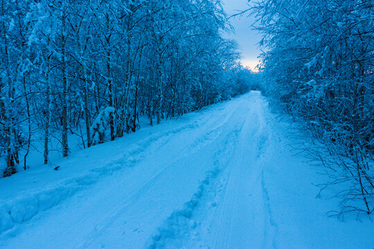 傍晚森林大雪道路