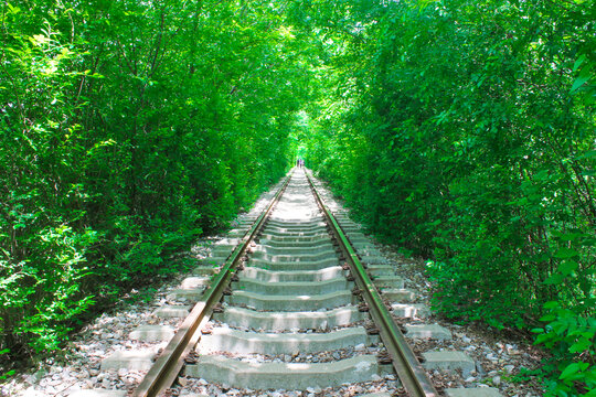 绿色铁路长廊