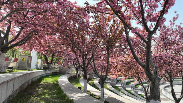 城阳新天地广场