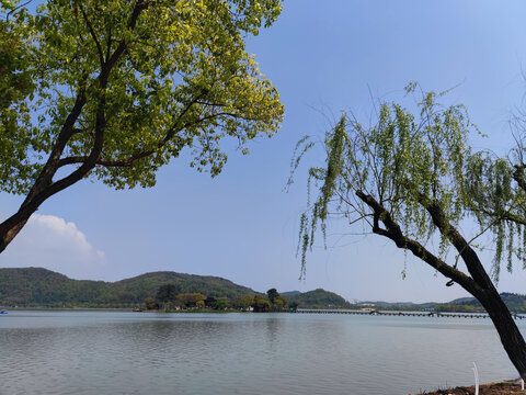 自然风景湖泊南北湖