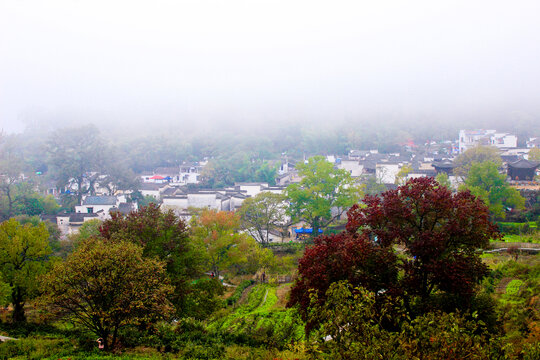 塔川秋色