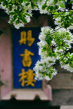 流苏邹城孟府