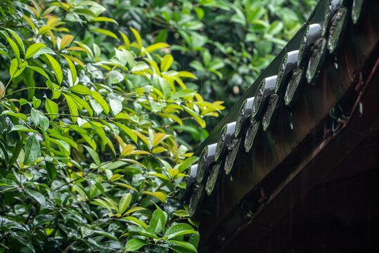 春雨下的古建筑