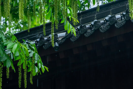 春雨下的古建筑