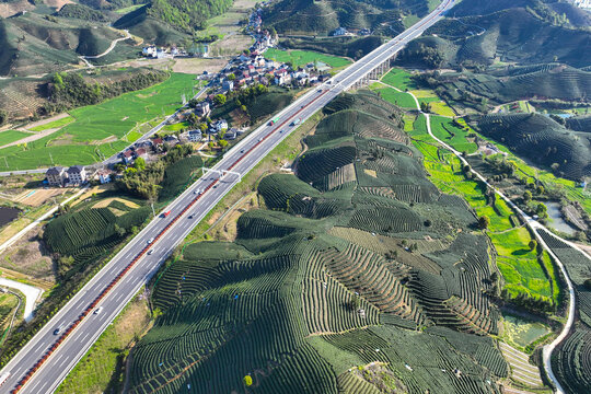 高山茶园与公路