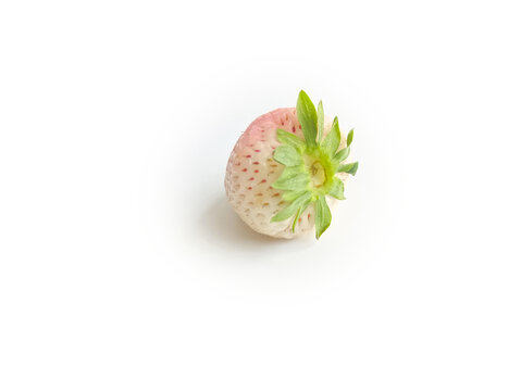 一颗白草莓