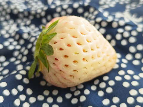 诱人白草莓