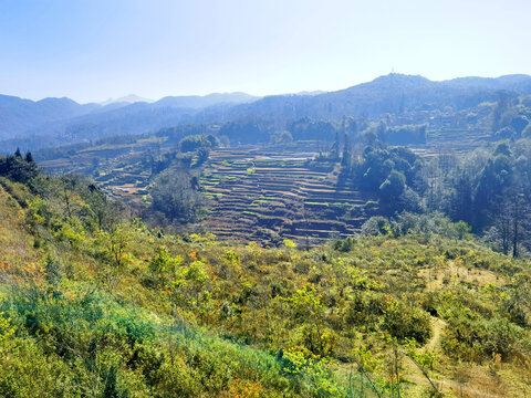 元阳梯田旅游