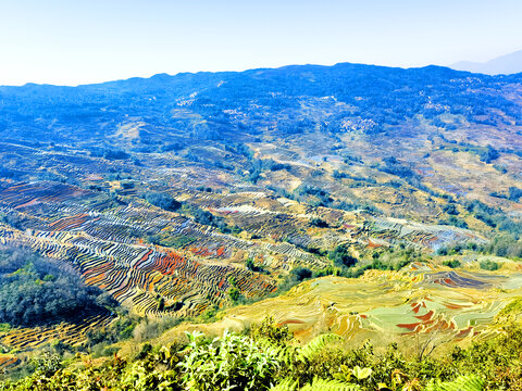 梯田背景