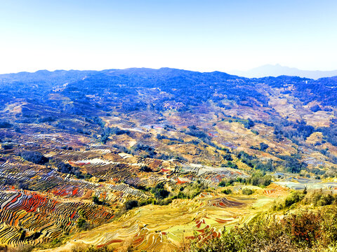 元阳哈尼梯田