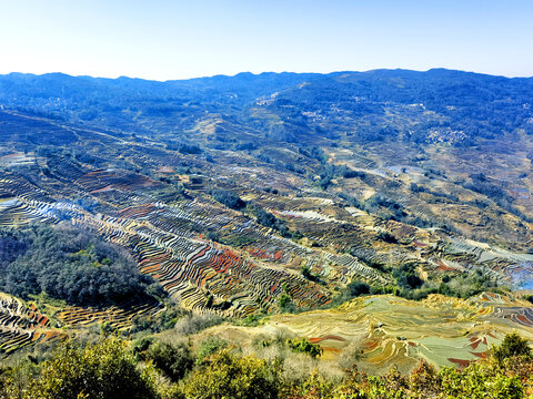 元阳梯田