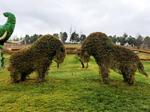 植物雕塑牛