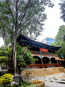 西龙潭寺