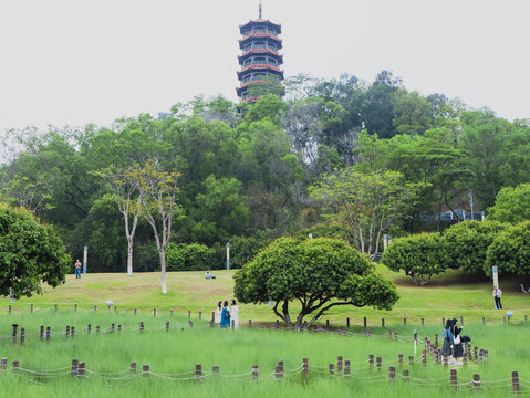 深圳红花山公园风光