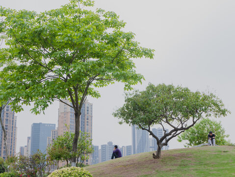 深圳红花山公园风光