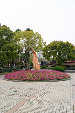 江滨公园花坛