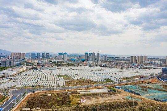 航拍云南昆明斗南花卉市场花市