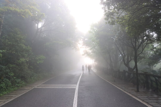 大雾天气