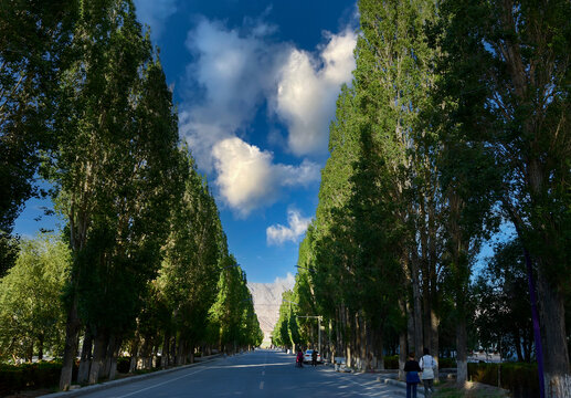 新疆塔县公路街景