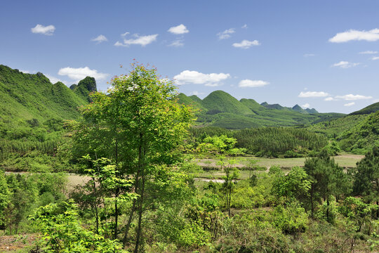 春天春色田园山野